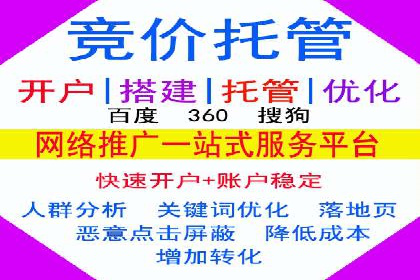 实战技巧：竞价推广案例解析与优化策略
